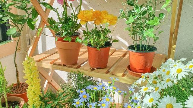 在父母帮助下，毕业就有了人生第一套房，独居带一猫，令人羡慕！