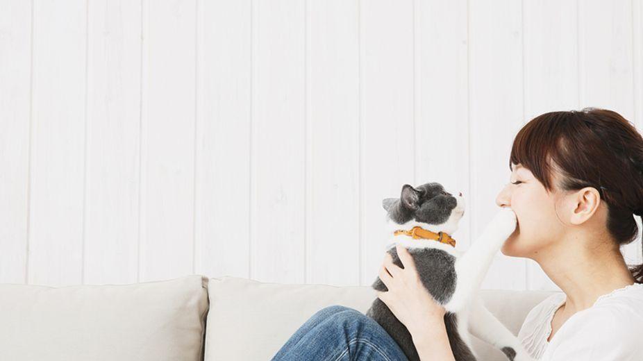 京东|人过中年，欲望极简