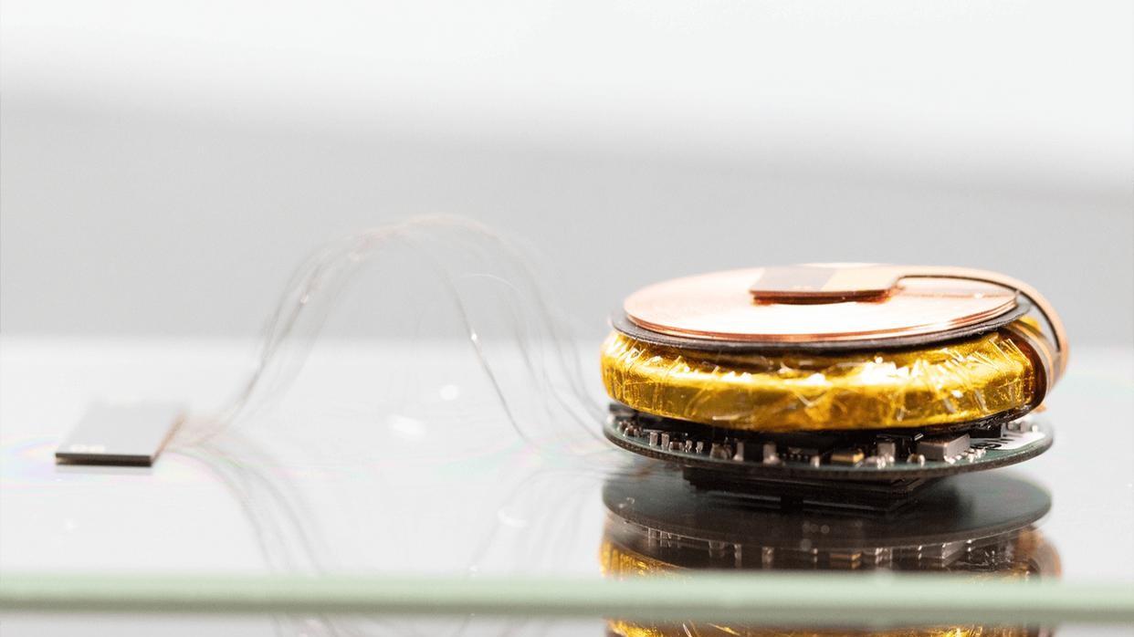 伊隆·马斯克|马斯克脑机公司发布会：让瘫痪的人恢复全身功能，让失明者看得见