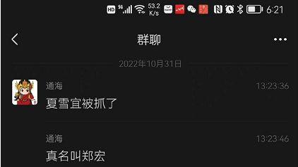 身价几千亿的夏雪宜拿不出1W，然后进局子了！