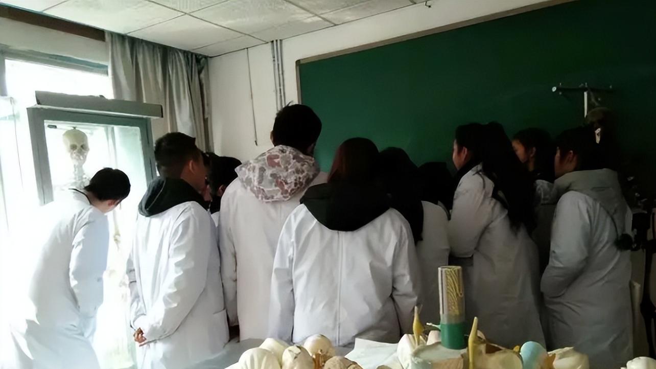 医学生|北大医学硕士求职被拒，面试10多次均被淘汰，医学生太难了