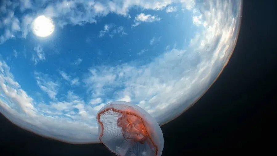 33张第一眼会看错的照片，绝对没有PS