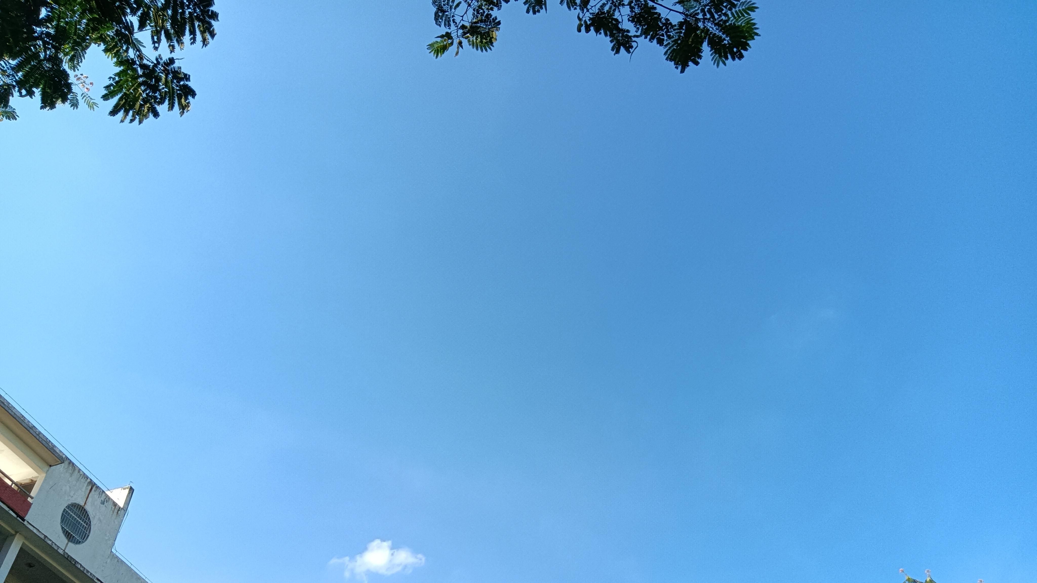 职业教育|用编外教师取代编内教师以节省当地财政支出的倾向要得到及时遏制