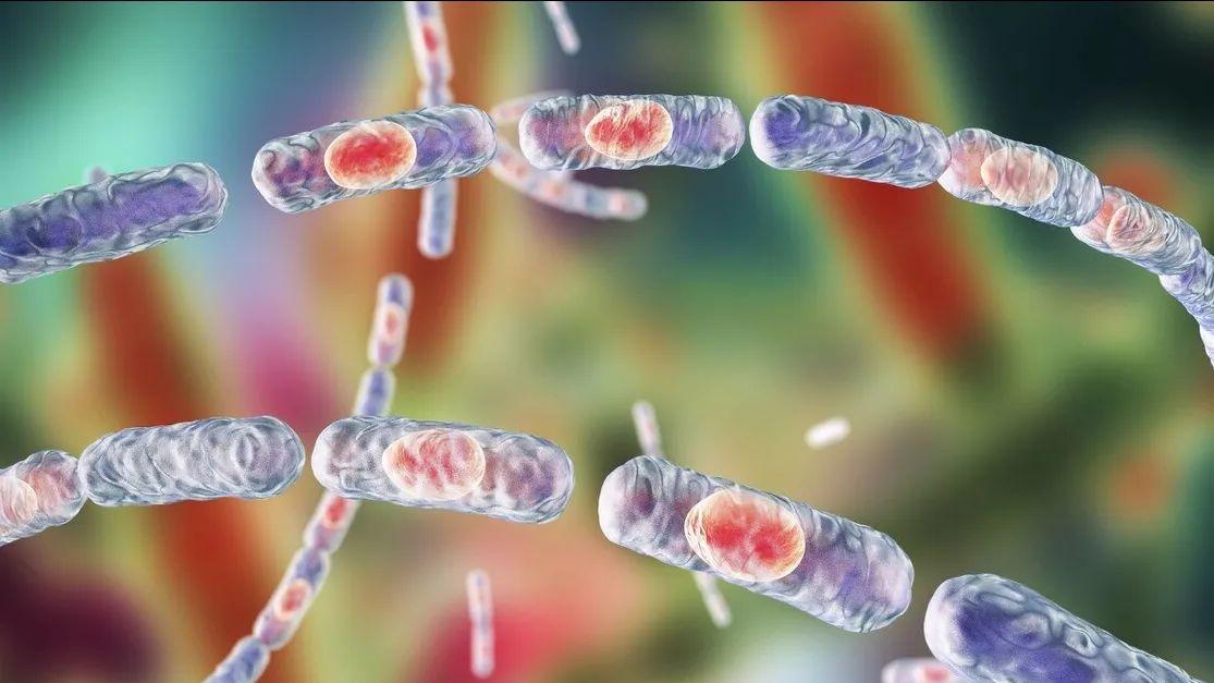 为提前免疫，法国科学家复活五万年前病毒，会是潘多拉的盒子吗