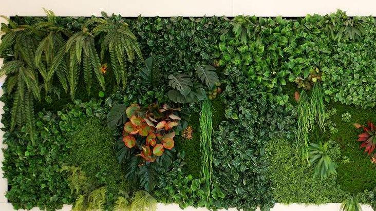 办公室|杭州办公室设计绿色墙装饰选择有诀窍