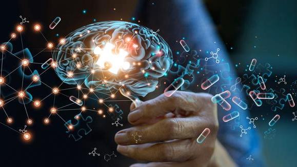 从植物中，研究人类的精神疾病？耶鲁大学开创了先河