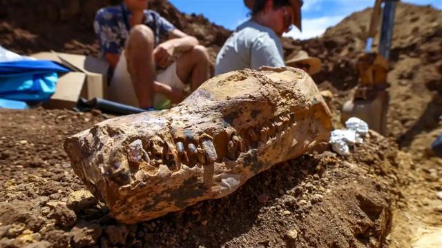 澳大利亚发现1亿年前海洋巨兽遗骸，专家称全世界罕见！
