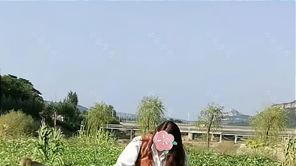 女子回农村老家，被母亲派到地里挖红薯，网友：这绝对是亲妈