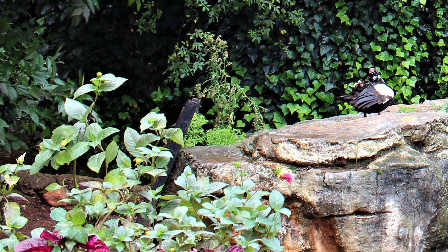 |一样工作，他咋那么有干劲儿？