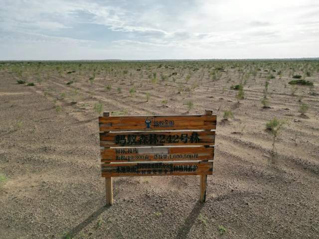 烟台|较真：蚂蚁森林、腾讯公益等到底有没有真种树？