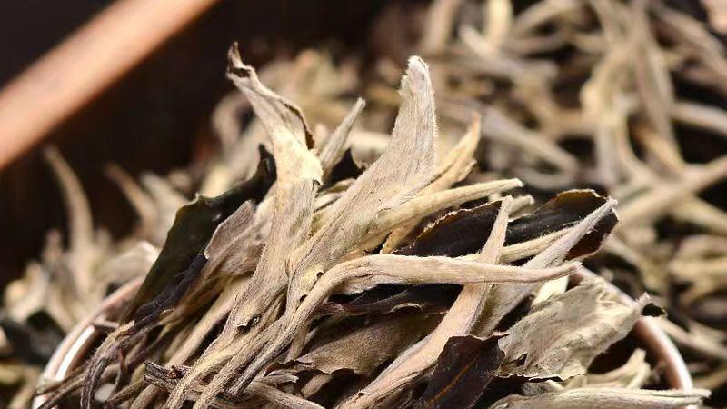 护肤|具有护肤功效的茶—月光白