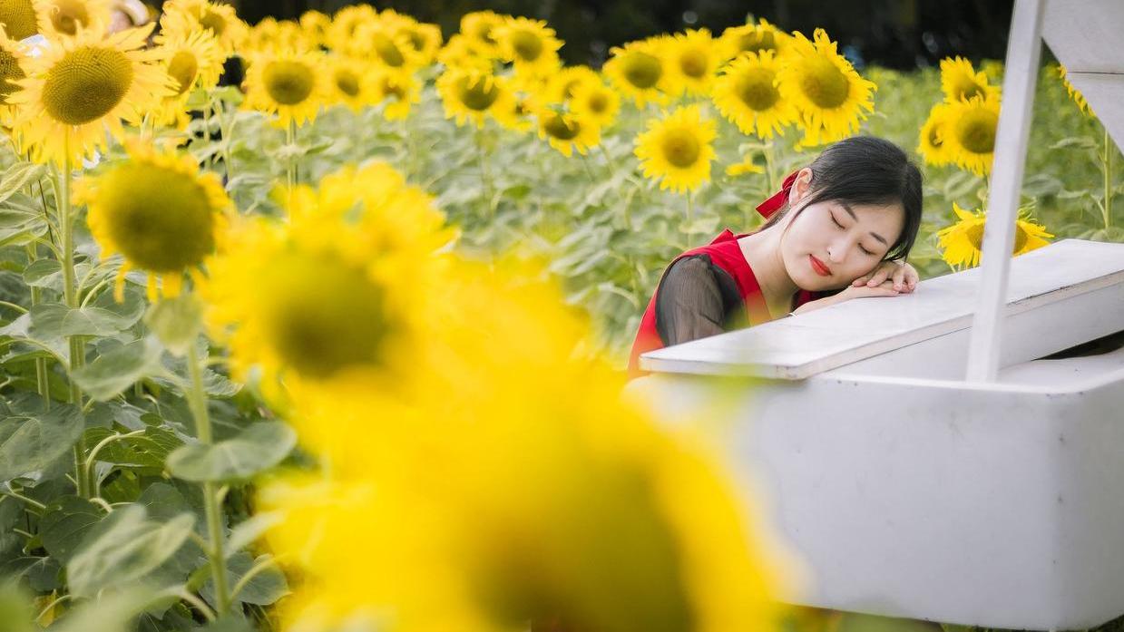 混剪|一边看剧一边赚钱，每月多赚5000+