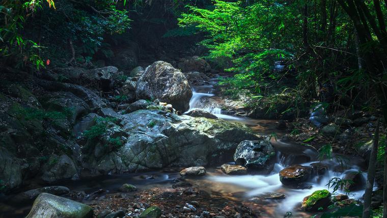旅游局|遇见盛夏，山谷随风