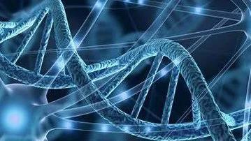 在大海中寻找微小变化！新研究提出早期发现胆道癌的新策略