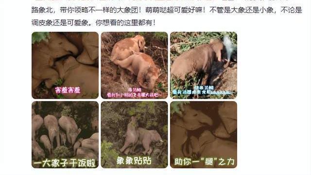 川渝人民水深火热，网友恶臭发言却荒谬至极！