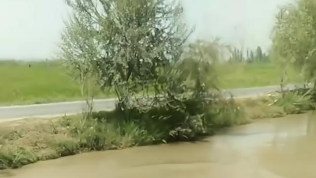 男子遗失金链子，大妈们抢着跳进沟里打捞，男子：谁找到赏500元