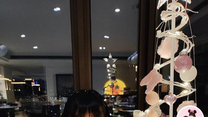 陆毅|陆毅鲍蕾为11岁小女儿庆生，妹妹文静甜美，长得越来越像姐姐贝儿