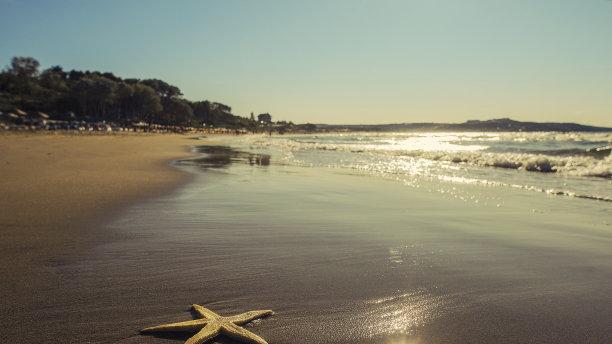 人类发现的“海星”并不只有这一种，它们的命运令人惋惜