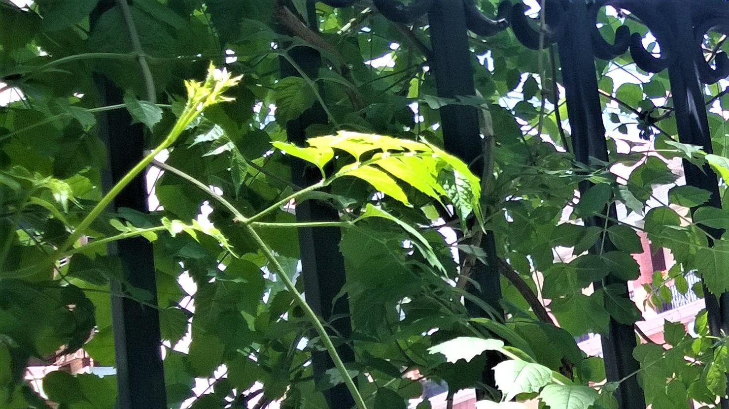 |团队很垃圾？自己得积极