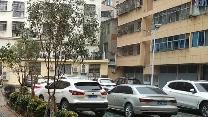 男子深夜停车鸣笛，小区飞来一砖头，网友：这手法明显练过啊！
