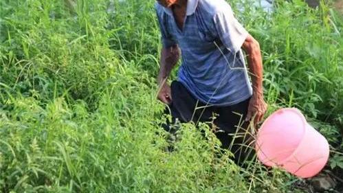 2016年，浙江美女被奸杀，刑警靠高科技破案，凶手让家属难以置信