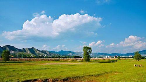 老人说，三种礼不要随便送，你知道是啥吗？