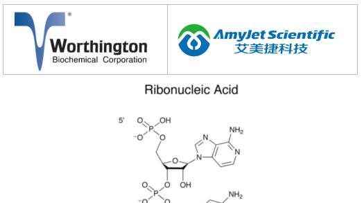 Worthington核糖核酸测定详细攻略