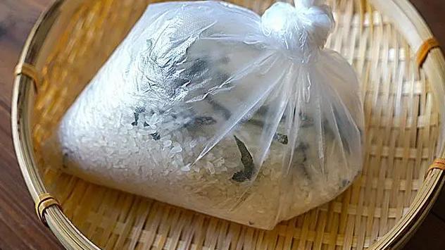 才知道，原来保存大米如此简单，放1年不发霉不长虫，太管用了