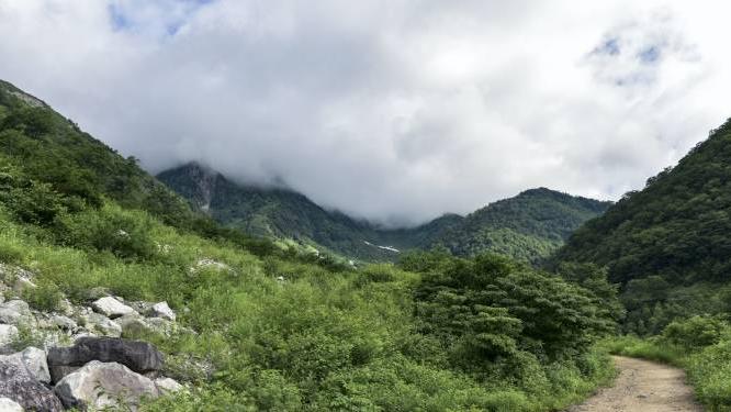 家电企业|如今家电下沉市场很热闹，但这不是厂商左右手的倒货批发