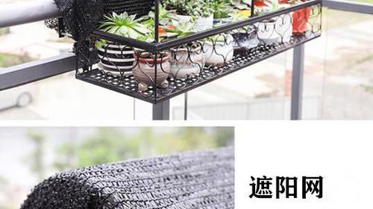 买了高层22楼，在阳台外搭不锈钢花架，楼下业主：赶紧拆掉！