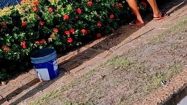 一男子与八位妻子共同生活，引发网友抨击，有人称他们为魔鬼家族