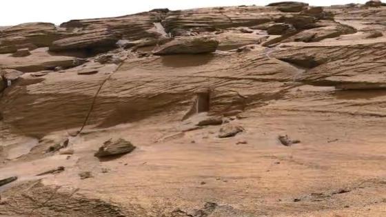 火星上发现了灌木丛？看起来诡异却真实，NASA：确实是MRO拍摄