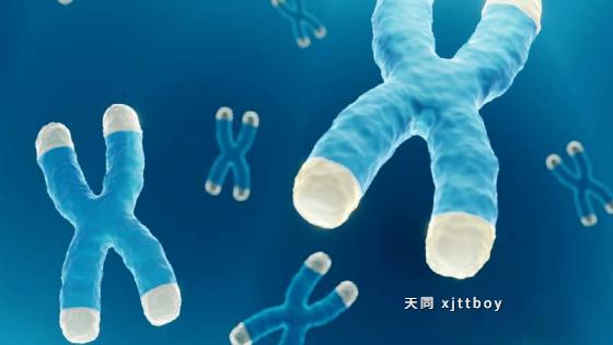 HIV 加速衰老：ART、早期检测和合并症的作用