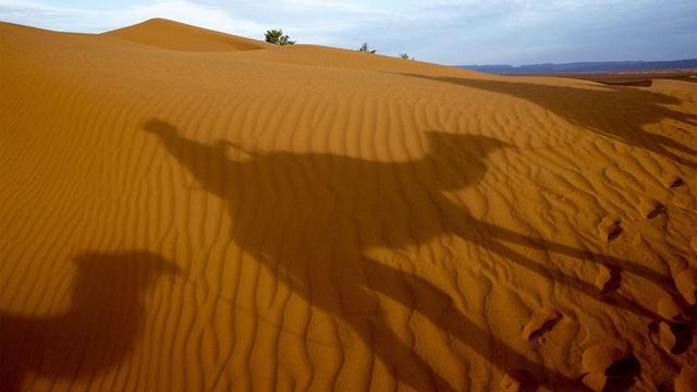 世界上最热的5个沙漠，平均温度超过43摄氏度，你去过几个