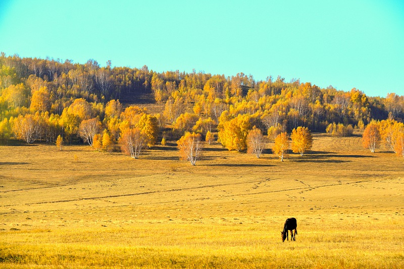 笔记本|3个能让你工资翻倍的职场附加技能！