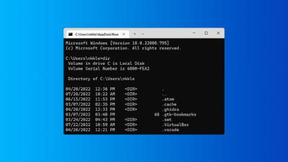 Windows|如何在 Windows 中使用 DIR 命令