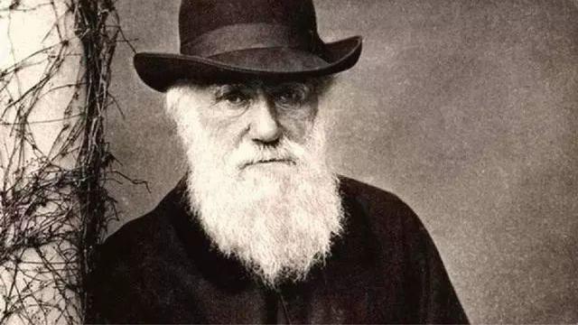 探索奥秘：人类是多地起源，还是非洲起源？