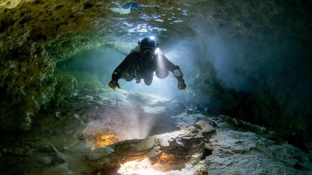 康佳|金枪鱼鳍的液压控制，为开发具有液压驱动的软机器鱼提供了灵感