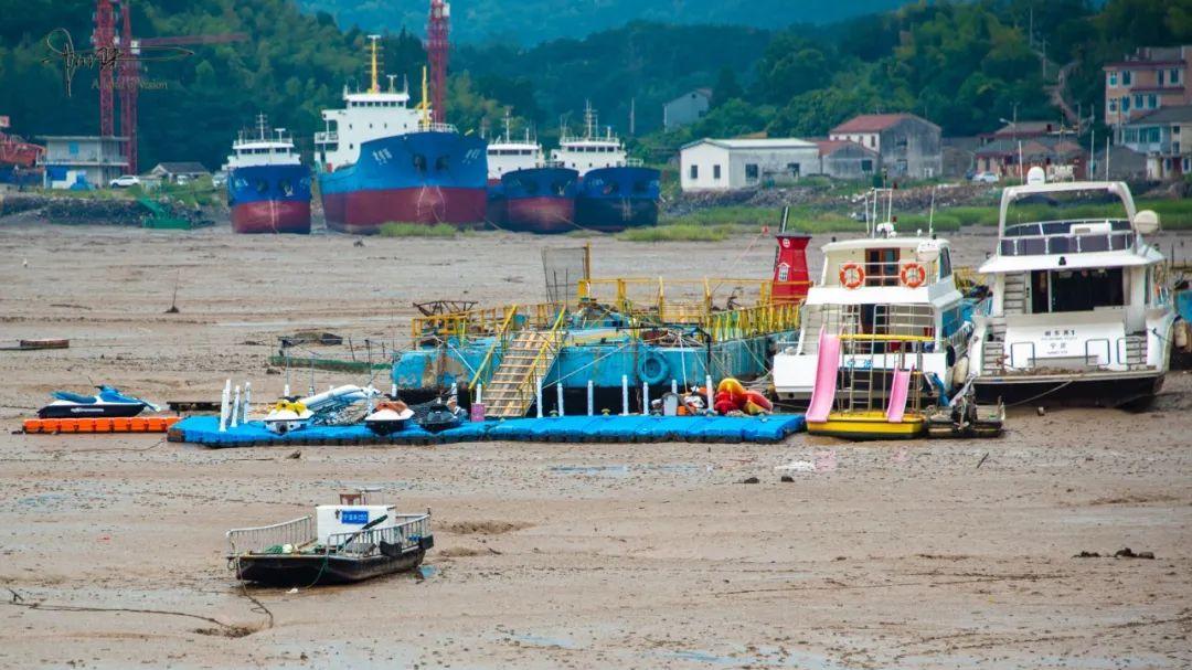 宁海|大概见惯了潮起潮落，当宁海湾的滩涂裸露，这里几乎没有赶海的人