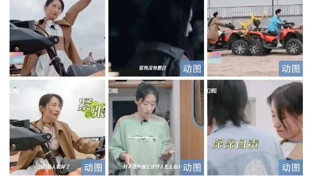 刘敏涛|王一博，薛凯琪刘恋，刘敏涛，丁禹兮，孟子义