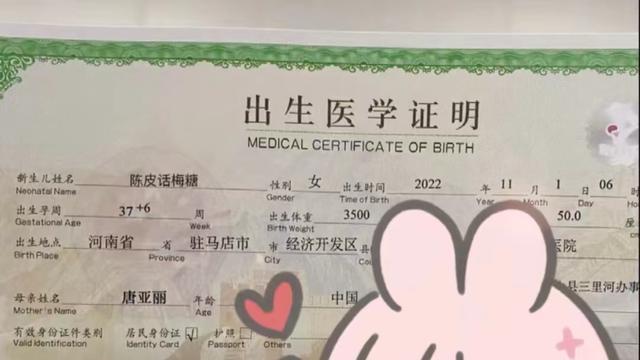 河南驻马店父母给女儿取名“陈皮话梅糖”，网友：实力坑娃