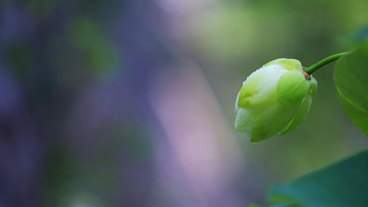 |一份工作而已，别跟我谈什么人生理想