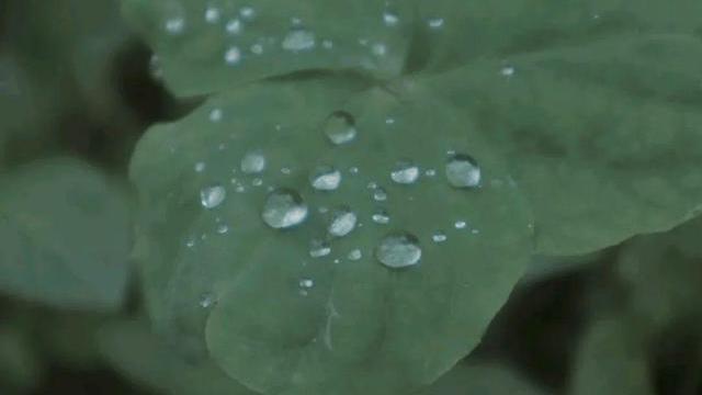 |烟雨江南已散尽，晴空万里无云