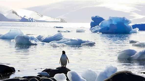人类是如何发现南极的？南极大陆为什么不是任何国家的领土？