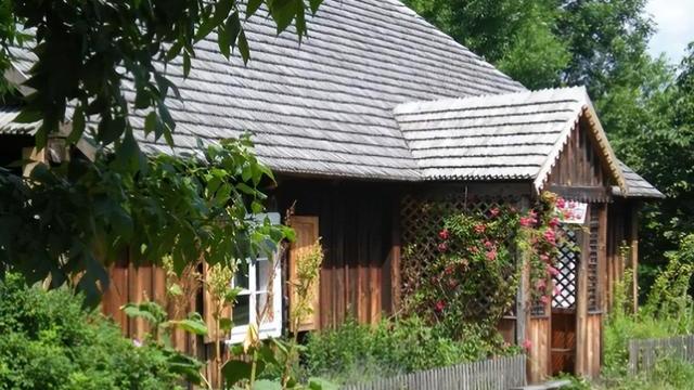 案例：女子独自回家，被厨子拖进玉米地，“侵犯未遂”后痛下杀手