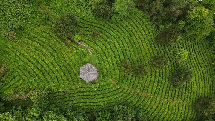花溪|花溪之夏·避暑季 | 邀您共赴六爽之旅