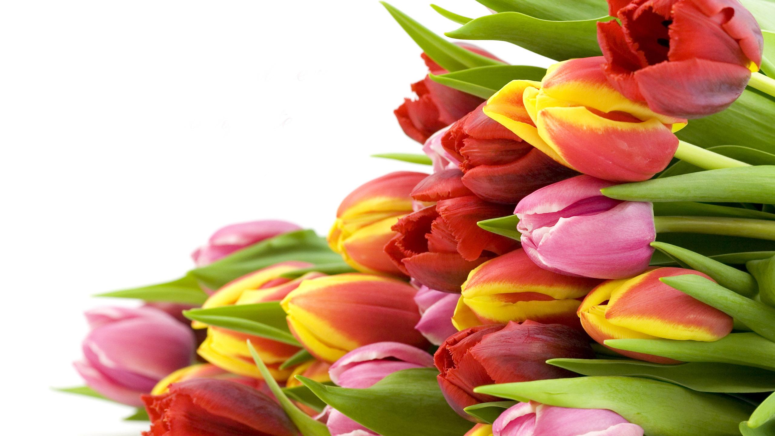 保利|因为未来是无法被预想到的，过好当下才是有意义的人生