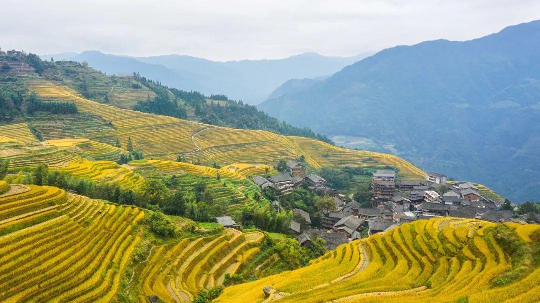 漓江|多次登上人民日报，上榜《国家地理》，还是20元人民币背景图案