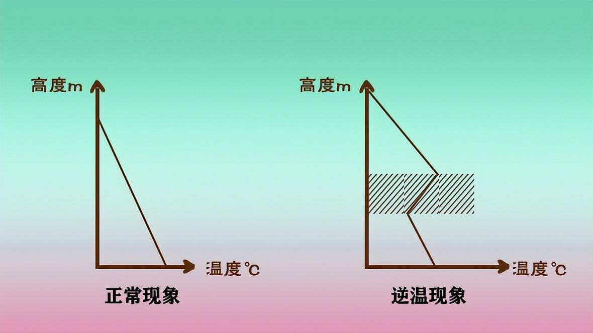 iPhone|手机移动网络变得很慢？可能是被40度的天热坏了