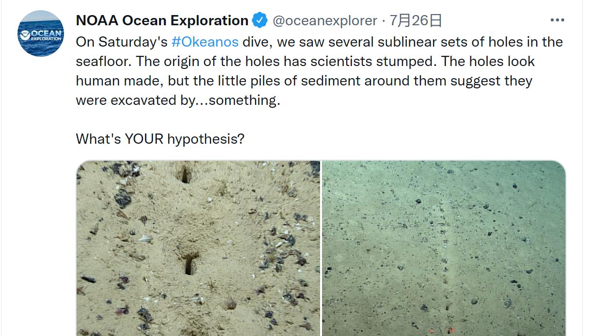 大西洋海底发现神秘孔洞 网友：外星人？还是古文明遗址？